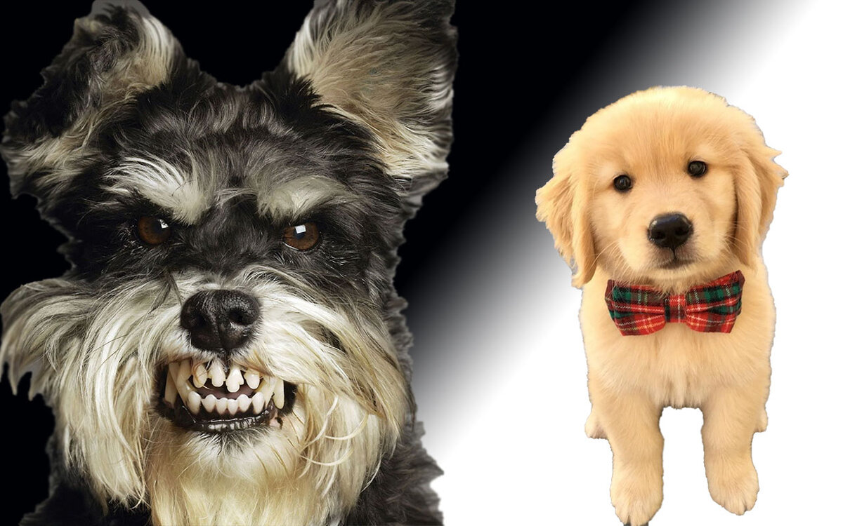 Яндекс картинки и немного фотошопа