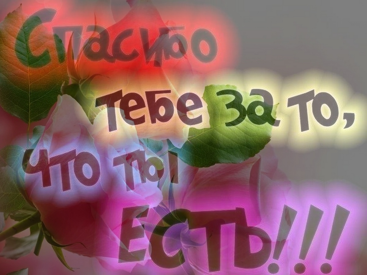 Спасибо что рядом картинки