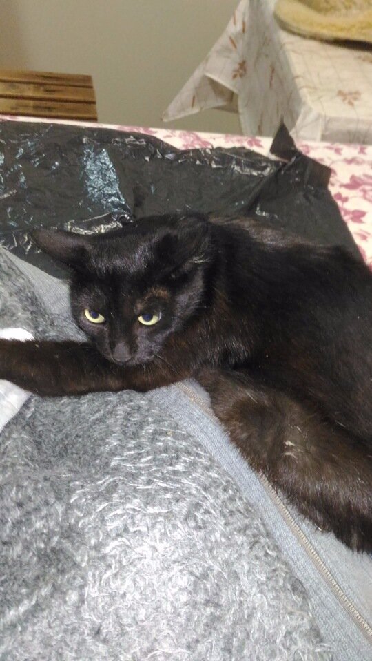 После поимки