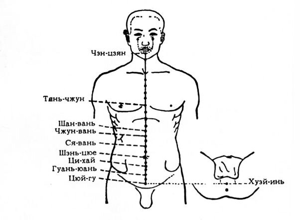 Переднесрединный меридиан