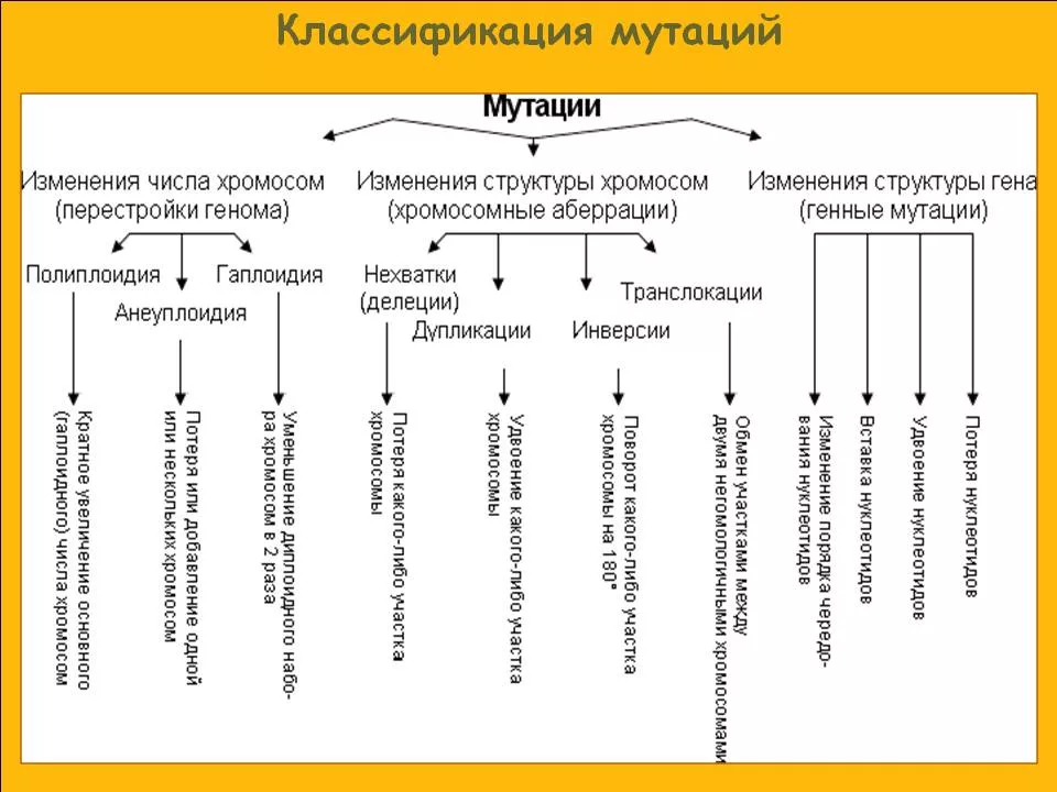 Характеристика видов мутаций. Биология таблица классификация мутаций. Типы мутаций схема. Типы хромосомных мутаций таблица. Классификация генных мутаций таблица.
