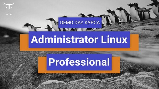 Demo day курса «Administrator Linux. Professional»