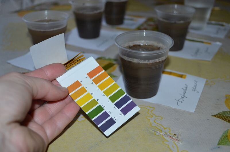 Лакмусовая бумажка.