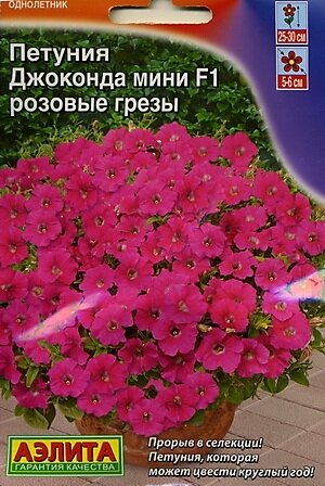 Однолетник. Высота куста 25-30 см. Диаметр цветка 5-6 см. Формирует аккуратный, компактный кустик, усыпанный многочисленными цветками. Цветение очень продолжительное. Стойко переносит непогоду, не теряя своей привлекательности. Используется для украшения клумб, бордюров, рабаток, балконных ящиков, подвесных корзин и кашпо. Посев: на рассаду февраль-март в подготовленную почву под стекло. Всходы появляются только на свету (исключая попадания прямых солнечных лучей) на 10-15 день. После появления первого настоящего листа посевы проветривают и в дальнейшем снимают стекло, постепенно снижая температуру до 14-16°С. Рассада плохо переносит переувлажнение. В открытый грунт высаживается в апреле-мае, после окончания весенних заморозков. Лучше всего растет на солнечных участках с легкими, плодородными почвами