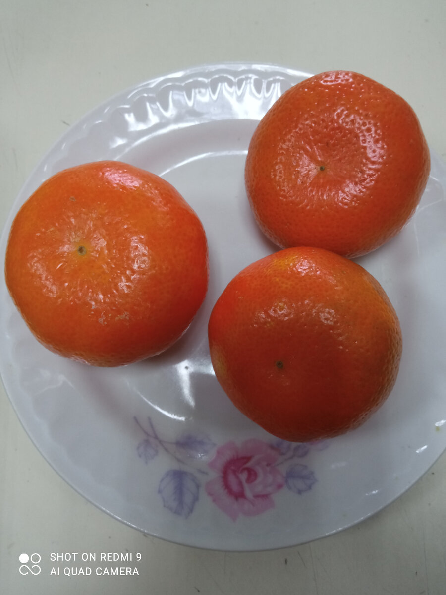 Перекус:мандарины-270г.,чай.К-102,6;Б-0,0;Ж-0,0;У-18,9