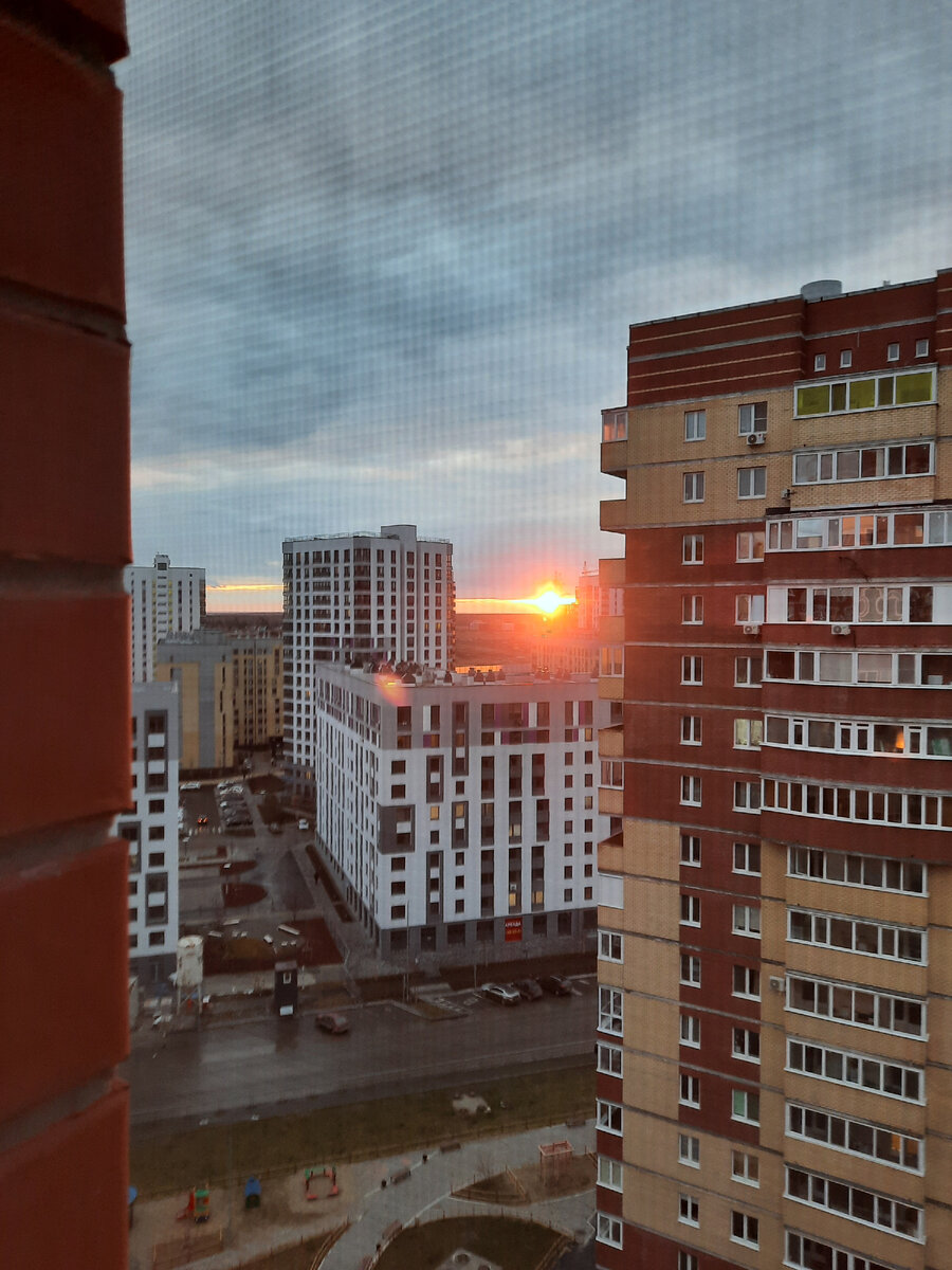 Куча кирпича, асфальта. Вот он какой вид из окна городской квартиры. Единственное красивое, это закат. И то еле видно между зданиями-высотками.