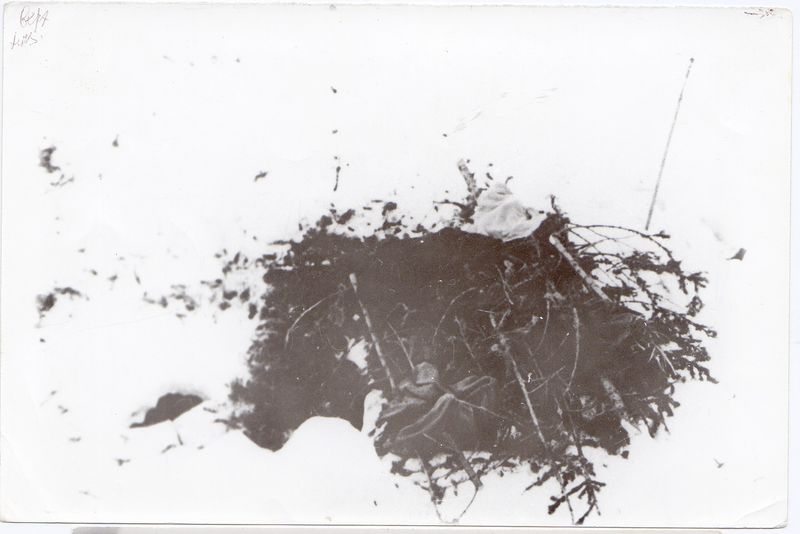 Видите слева чёрную проталину? Там ручей. Из открытого доступа.