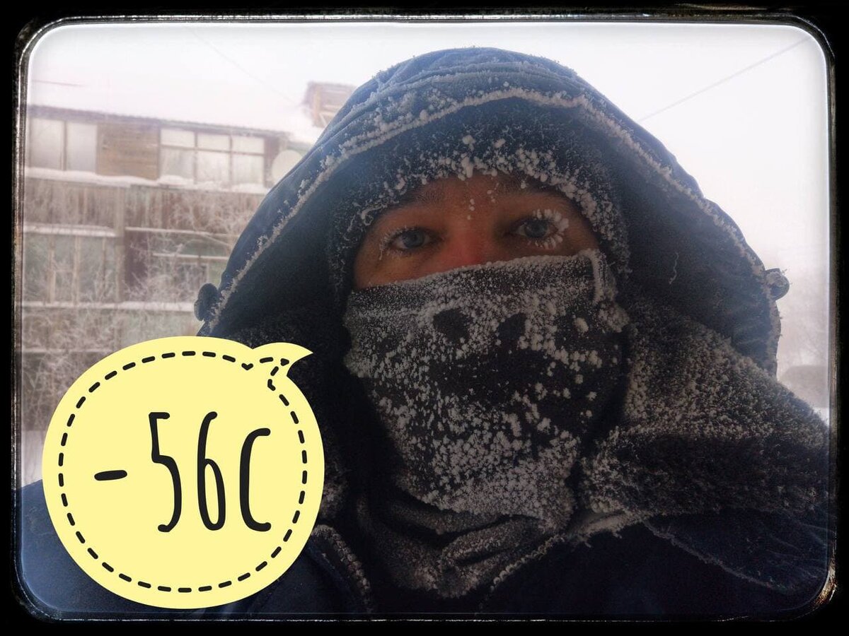 Так выглядит обычный поход в магазин!