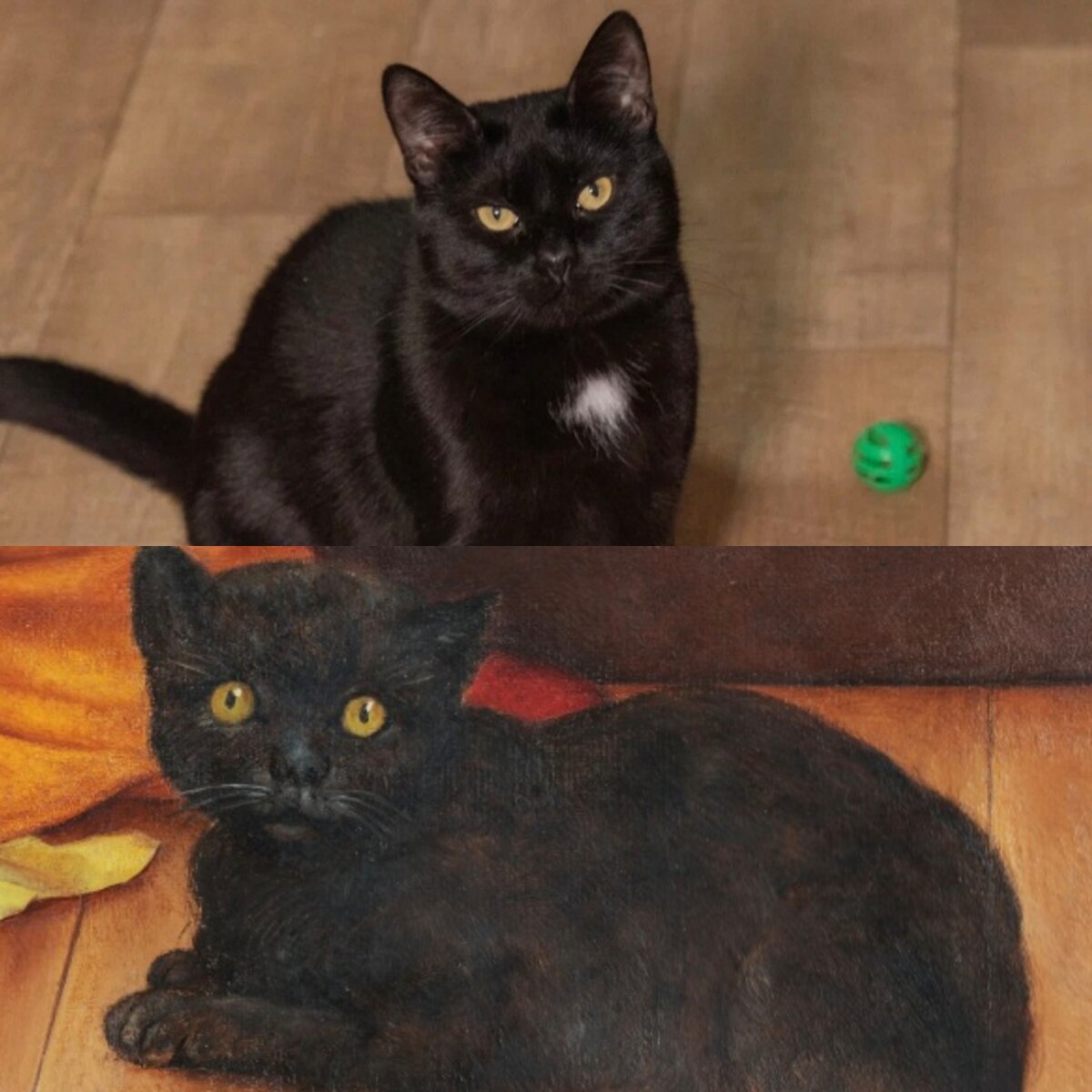 Котик приюта Марик и его "двойник" с картины. Марика сфотографировала Валерия, котика нарисовала английская художница Эвелин де Морган.