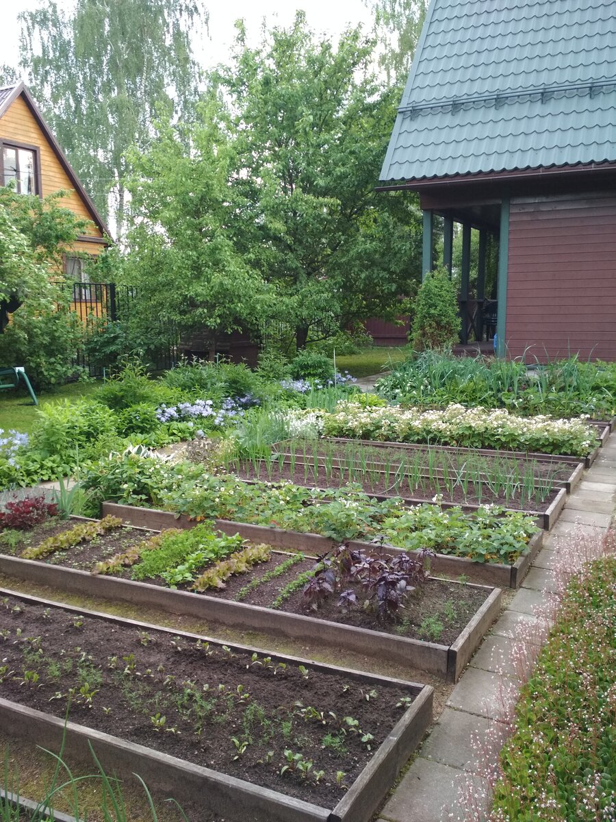 Начало июня.