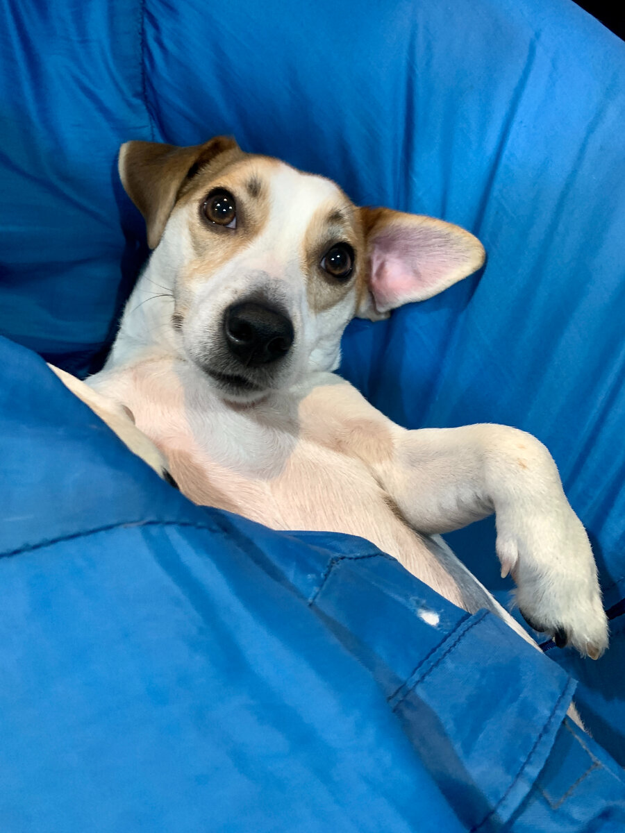 Ну привет =)