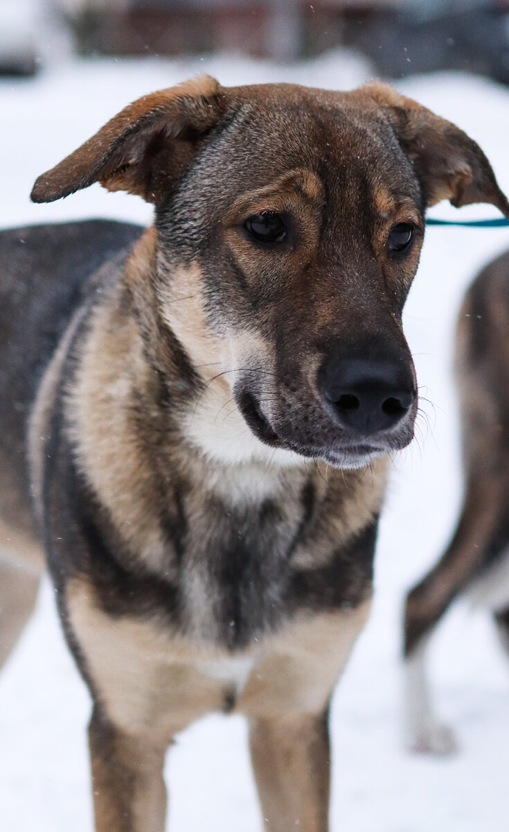 Она не просит у жизни ничего особенного. Просто хочет прожить её вместе с родителями.