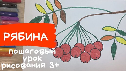 Идеи на тему «Рябина» (19) | раскраски, рябина, рисунки