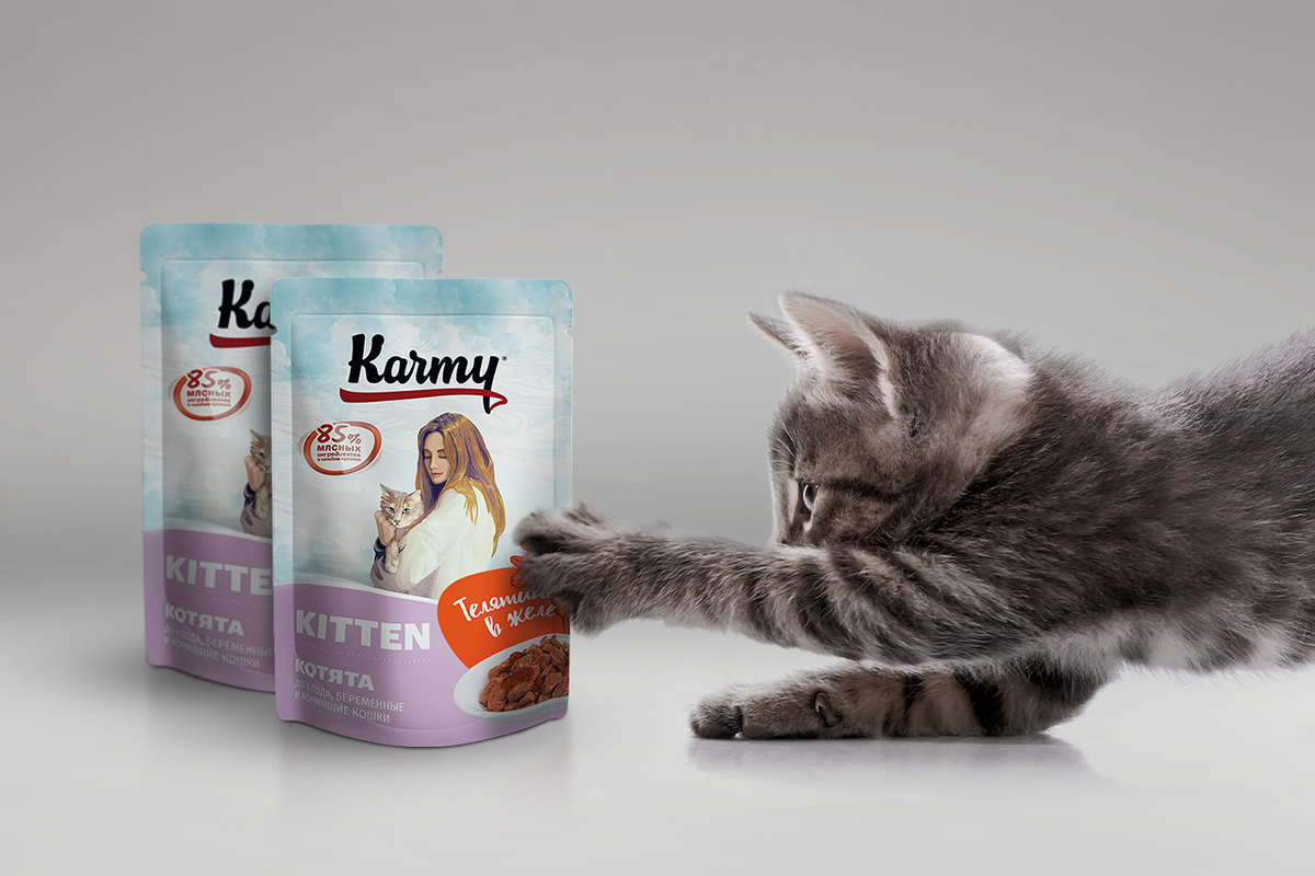 влажный корм для котят премиум класса список. хиллс science plan. кошачий корм хиллс для котят. Probalance kitten 1’st diet для котят. корм для котов премиум роял канин мокрый.