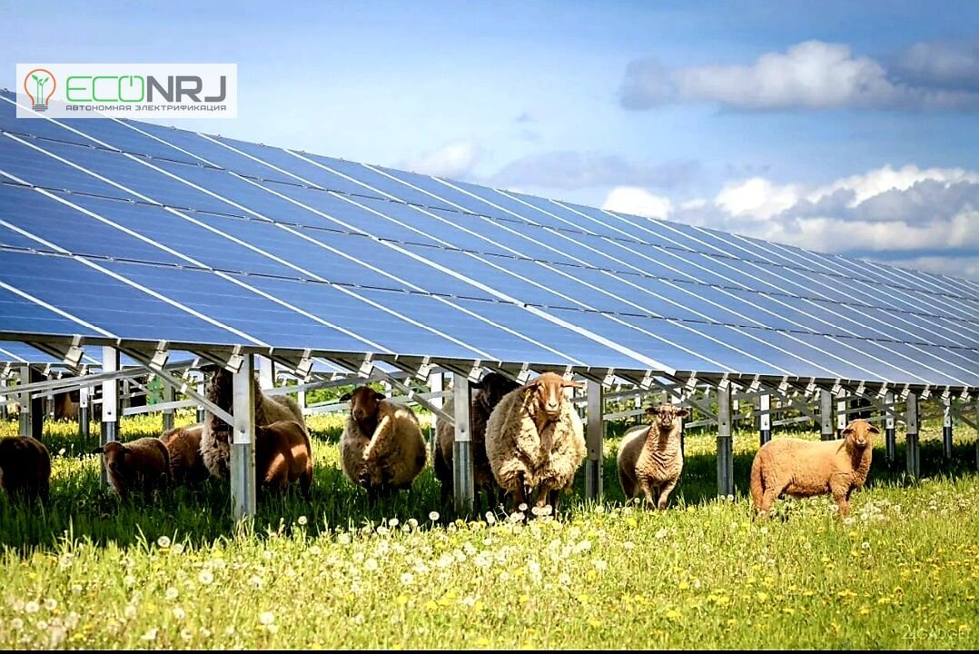 Как солнечные батареи используют в сельском хозяйстве