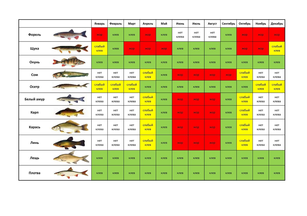 Календарь клева рыбы