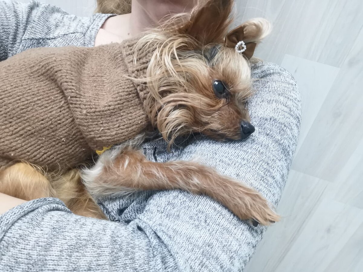 такой весь родной 