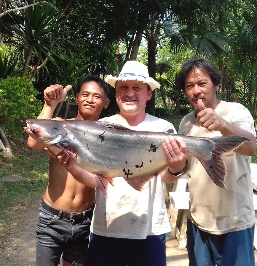 Пангасиус и друзья тайцы.