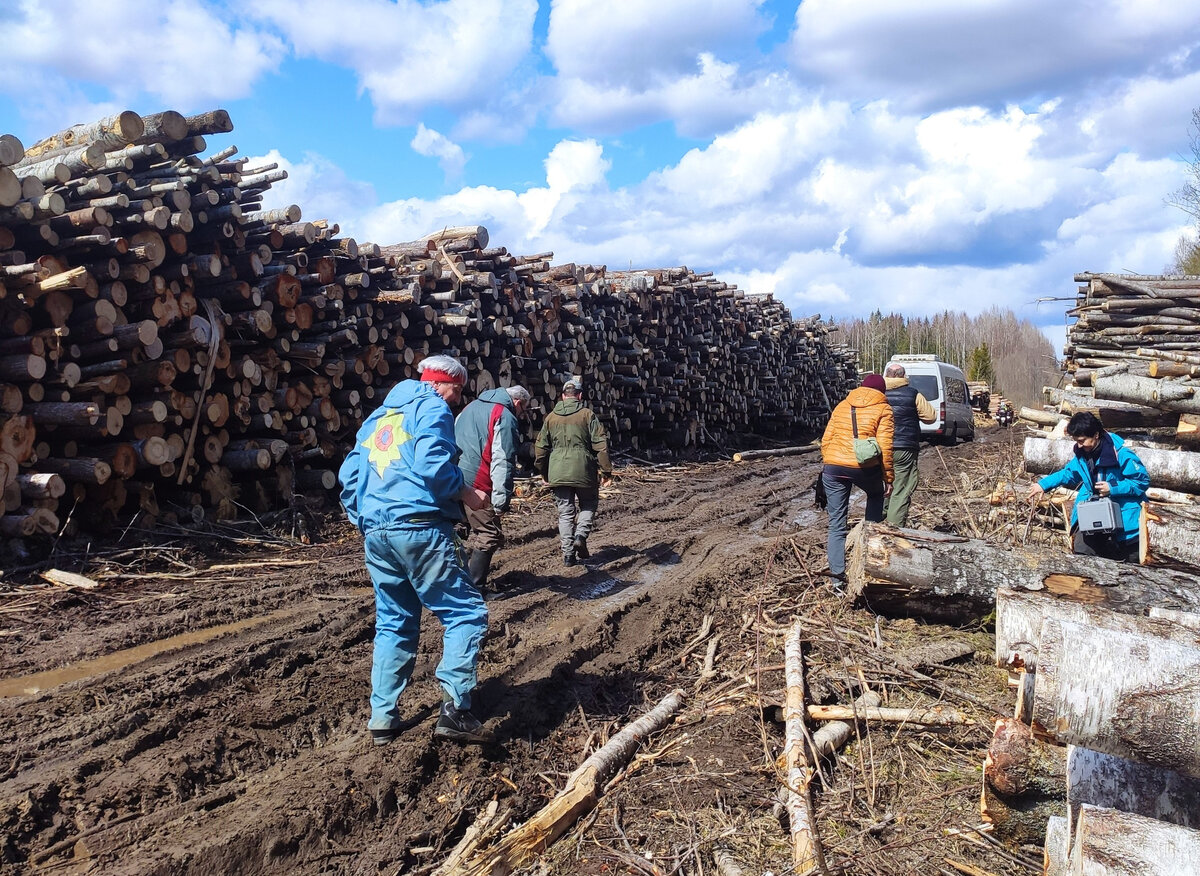 Где-то на границе Старицкого и Кувшиновского района