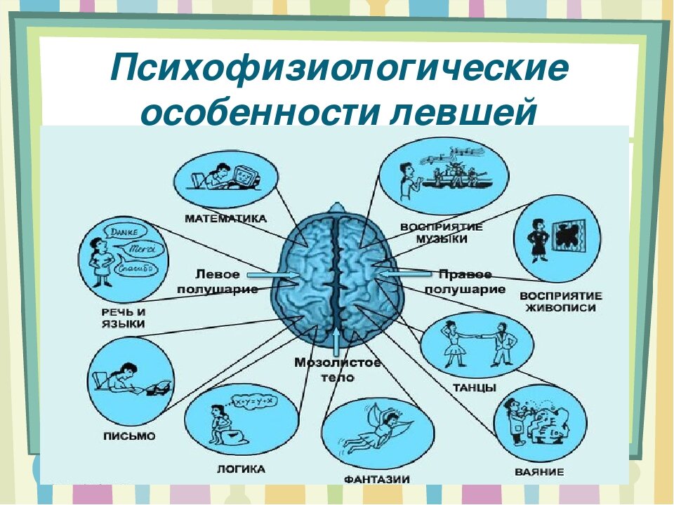 Признаки левши и правши