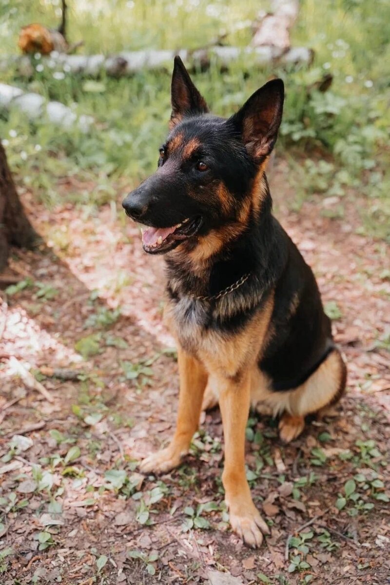 Викенд