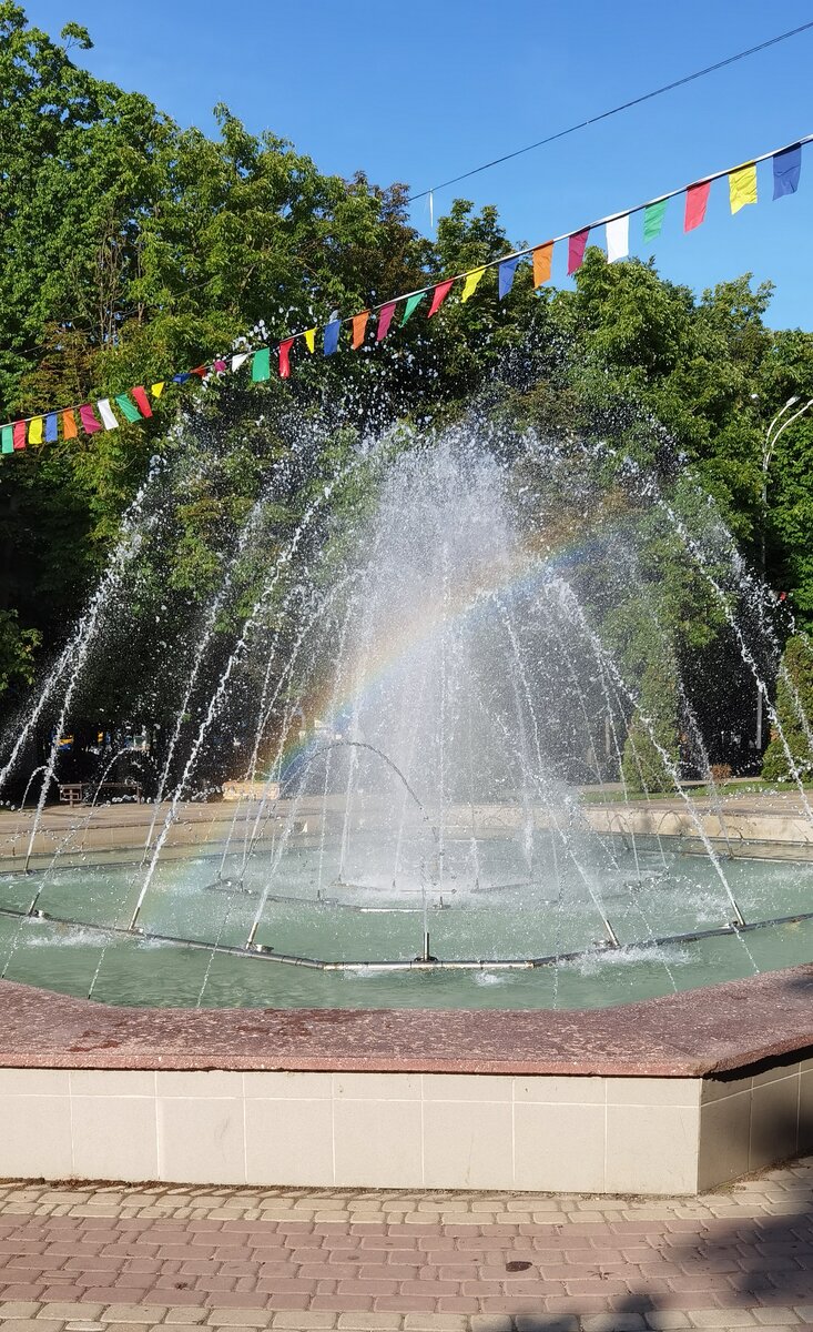 В городском парке