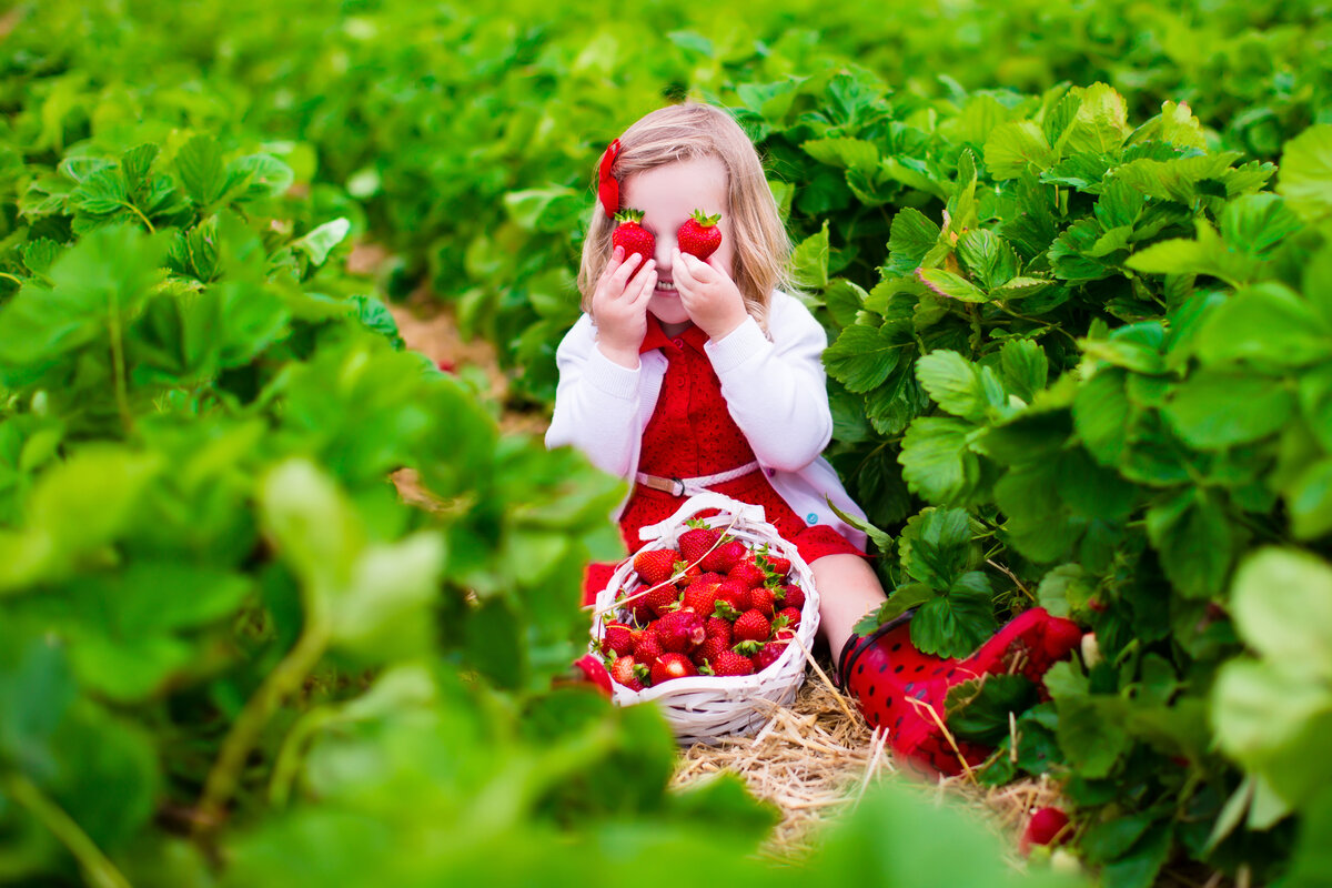 Strawberry girl