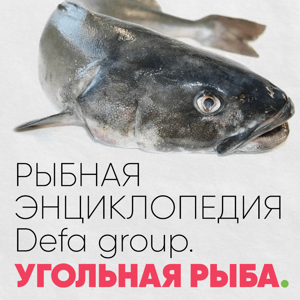 Угольная рыба