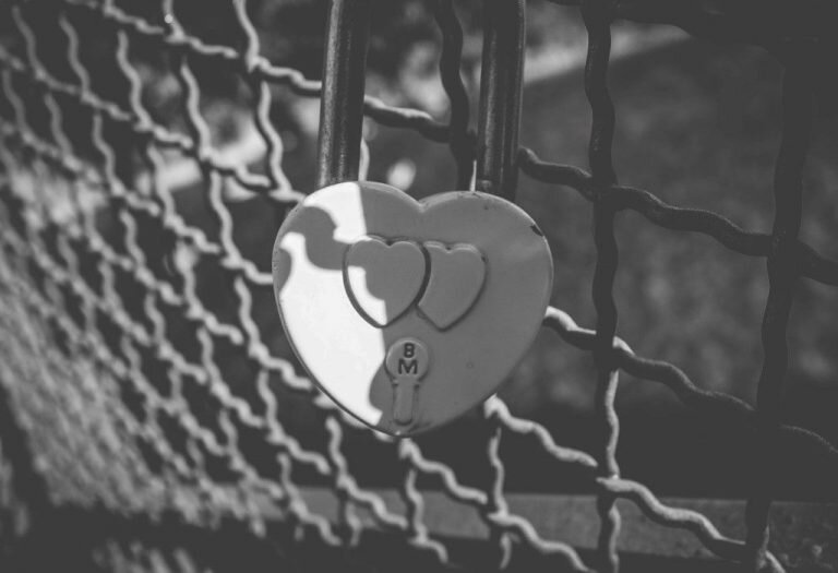 Источник фото: https://picography.co/love-locks/