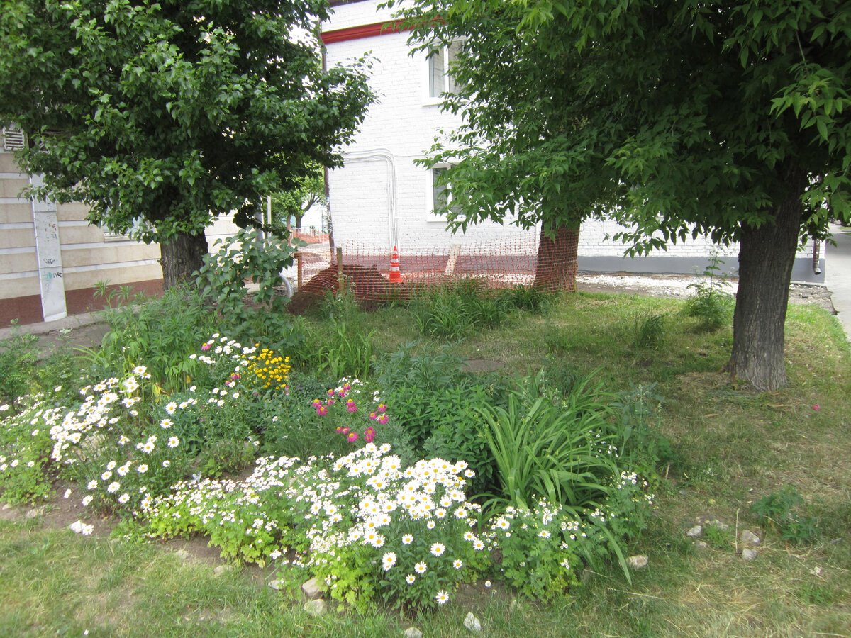 Найдите три отличия