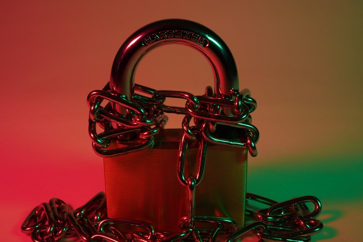 Изображение из открытого источника. Unsplash