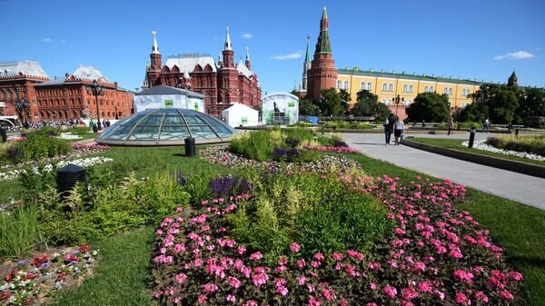    Цветник на Манежной площадь в Москве© РИА Новости / Сергей Мамонтов