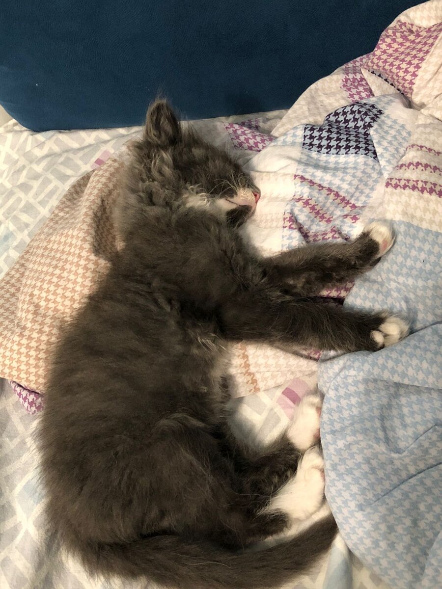 Встали, поиграли со мной ночью? Покормили? Отлично, теперь моя очередь спать =)