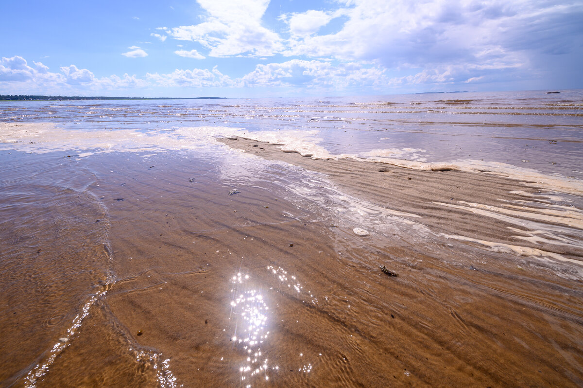 Приливы в белом море. Белое море пляж. Береговая линия белого моря.