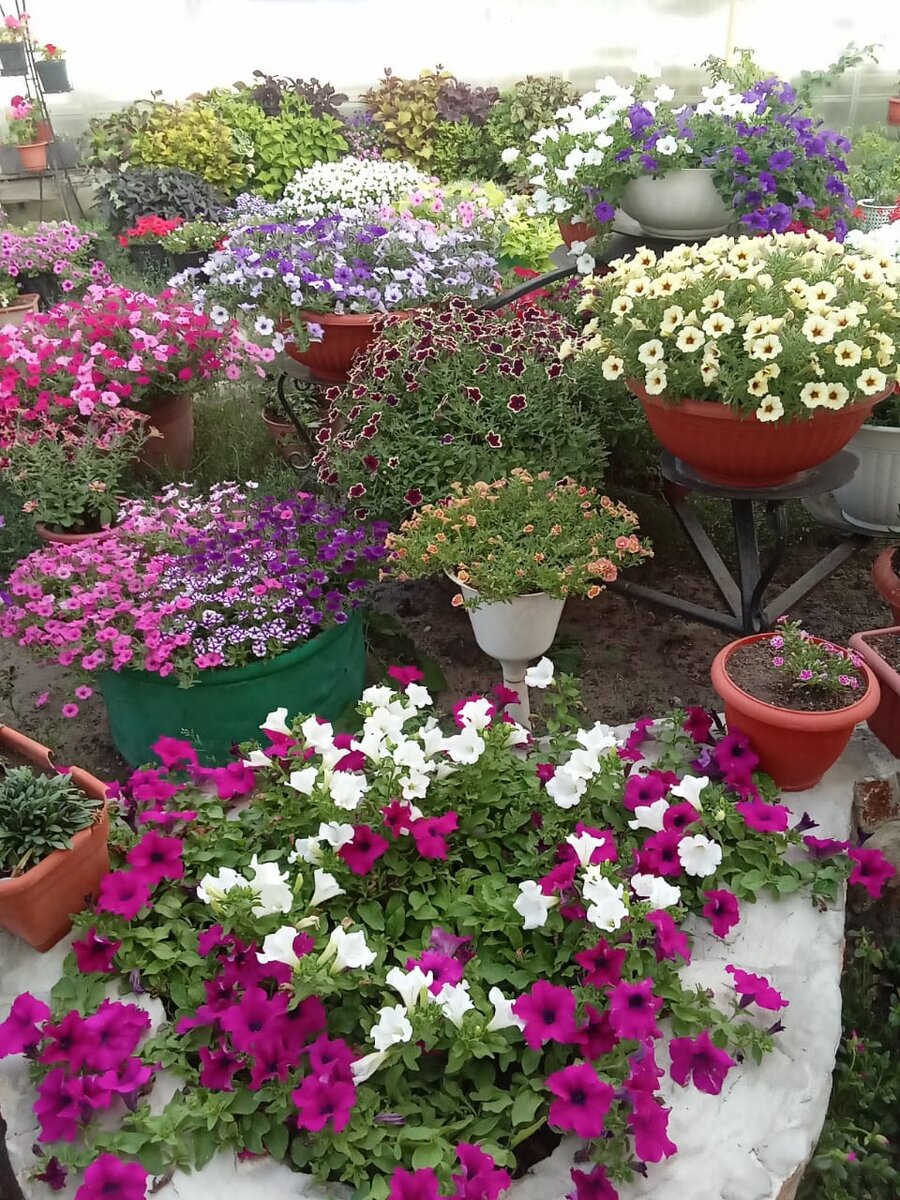 30 августа (фото автора)