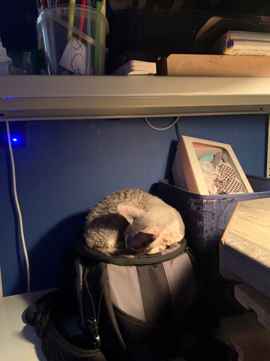 Тихий семейный вечер, спящий рядом кот — из этих маленьких повседневных воспоминаний строится осознание о том, кто мы и зачем живём. Но есть болезнь, при которой эта простая и важная опция недоступна.