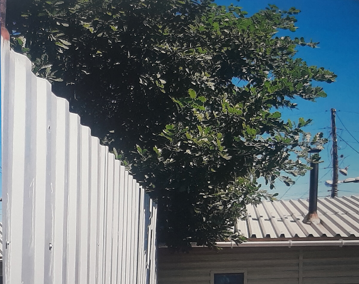 Фото из материалов дела