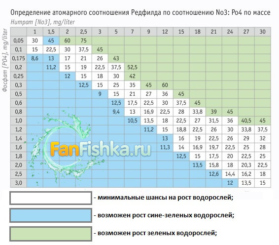 Фото с сайта https://fanfishka.ru/akvariumnye-stati/akvaskeyp/2053-redfild-rulit.html
