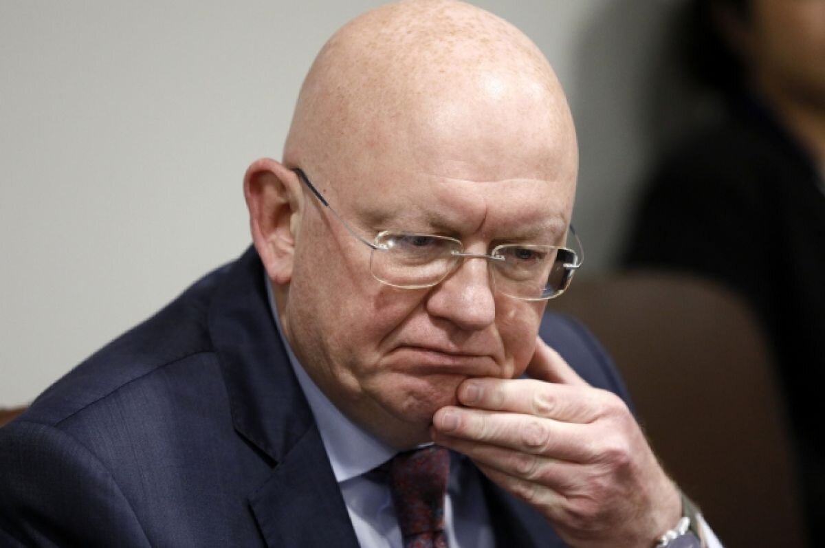    Небензя: санкции США и ЕС мешают экспорту российского продовольствия