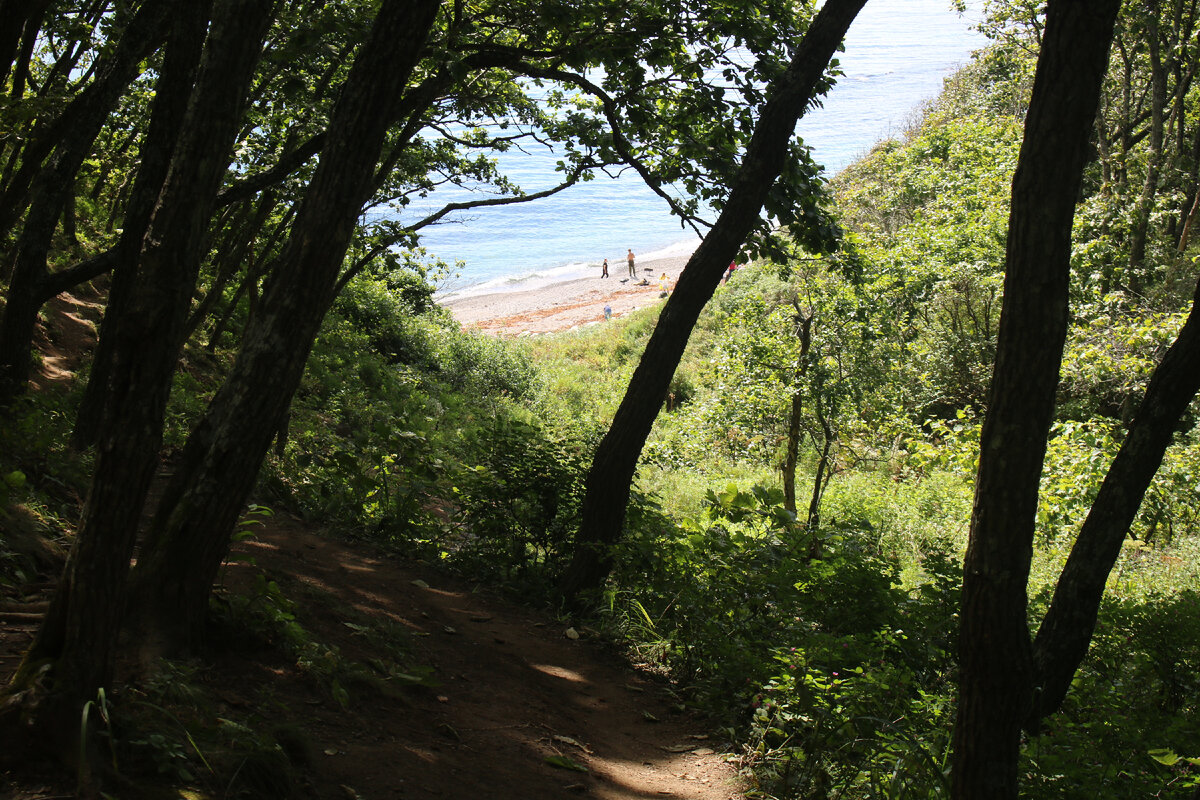 Тропа от дороги к пляжу