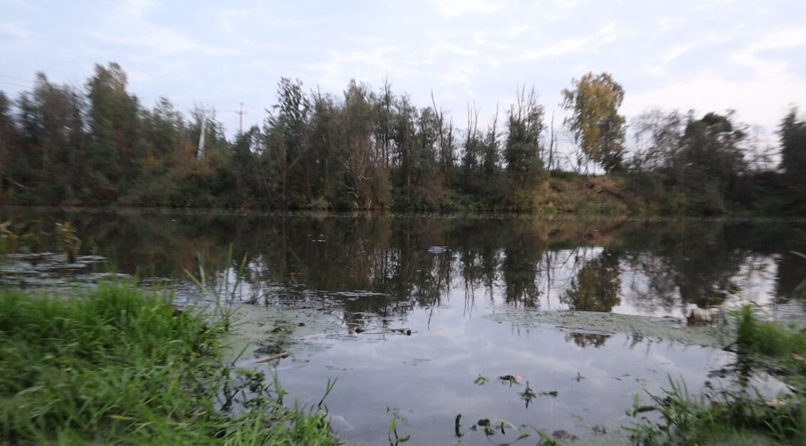 Водоем С КАРАСЕМ В СЕНТЯБРЕ.
