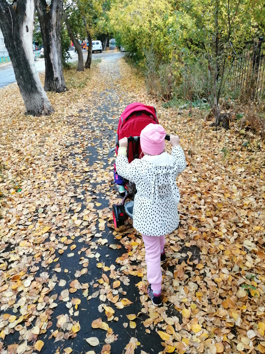 Племянница тётю везёт