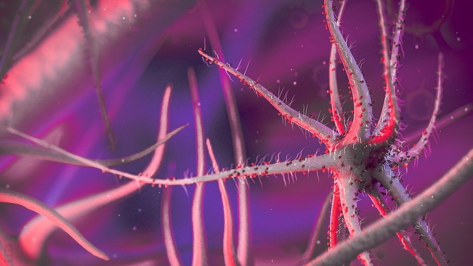 Иллюстрация pixabay.com