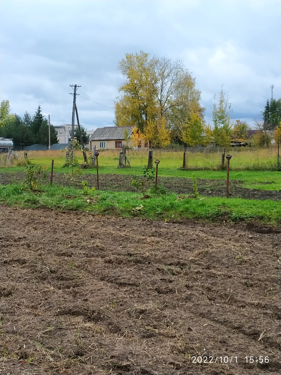 первые переселенцы)))))))))