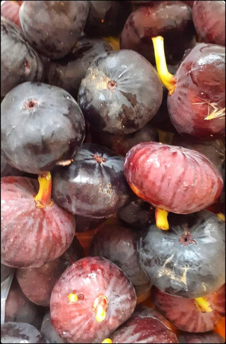 Фото Лианы М.