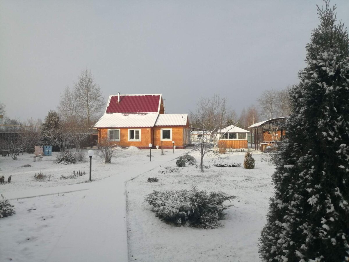 Фото автора 17.11.22.