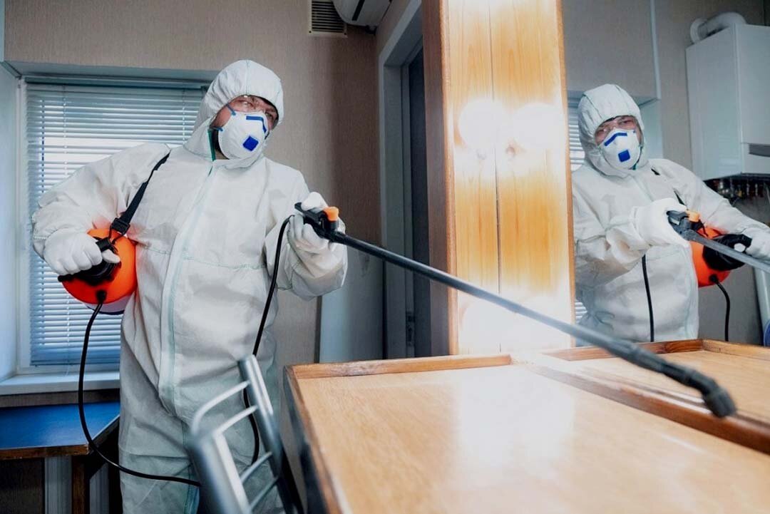    Слаженная профессиональная команда быстро и качественно обрабатывает любые помещения.Фото: msk.dez-delo.ru