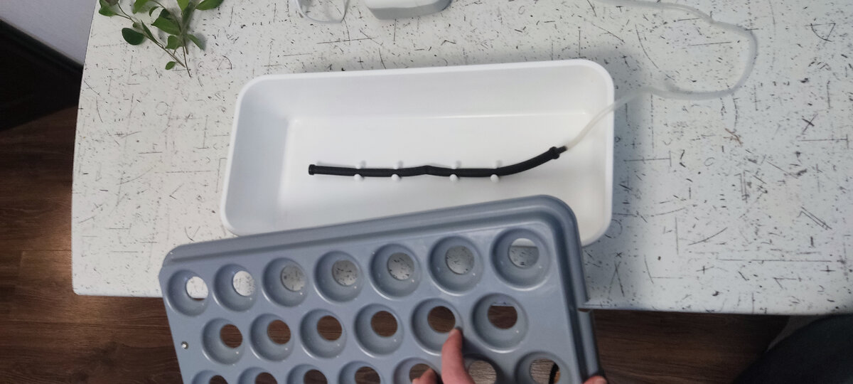 Проращивать изнутри