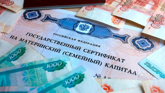    В Госдуме рассказали о законах, которые вступят в силу в феврале Алина Городниченко