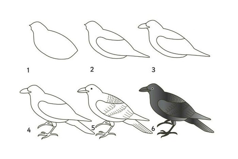 Как нарисовать птицу для детей